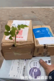 t01a1fc2150bab6a100.gif