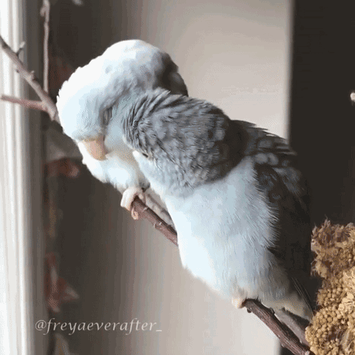 t01ad7cc58bdbeb1ea8.gif